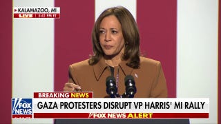 Protesters interrupt Kamala Harris' Michigan rally: 'No more Gaza war!' - Fox News