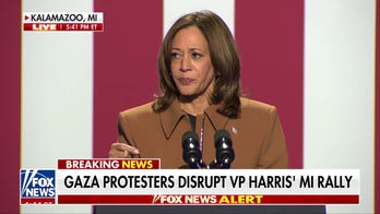 Protesters interrupt Kamala Harris' Michigan rally: 'No more Gaza war!'