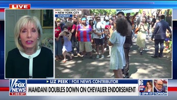 Democratic socialists have been ‘emboldened’ by Mamdani’s win, Liz Peek says