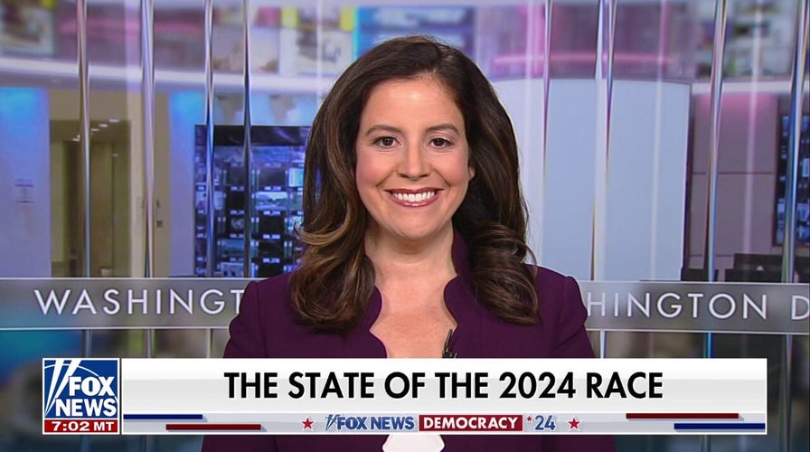 Kamala Harris owns the border crisis 'lock, stock and barrel': Rep. Elise Stefanik
