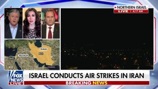 Biden admin has repeatedly tried to tie Israel's arm behind its back, former State Dept. spokeswoman says - Fox News