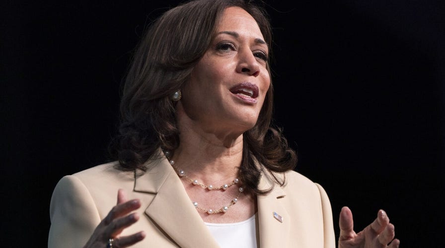 Texas ranch owners slam VP Harris' remarks on rural voters