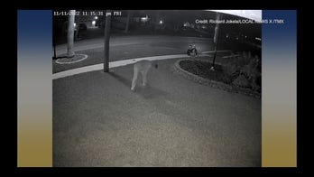Security footage shows vandal spraypainting 'Lock Trump Up' on home lawn
