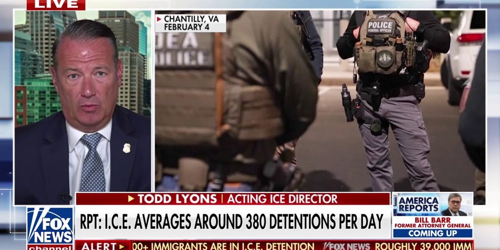 ICE official describes the 'BAD ACTORS' the agency is 'going after'