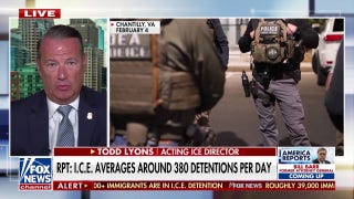 ICE official describes the 'BAD ACTORS' the agency is 'going after'