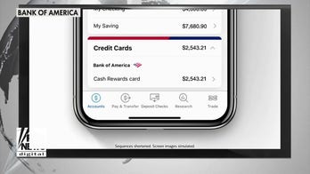 AI chatbots are being used as personal finance assistants