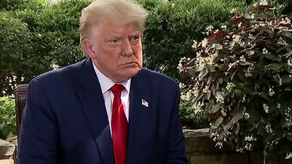 Trump rejects 'fake polls' that show him trailing Joe Biden, says former VP is not competent to be president
