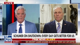 Scalise slams Schumer’s response to government shutdown