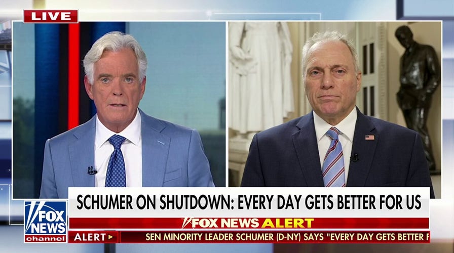 Scalise slams Schumer’s response to government shutdown
