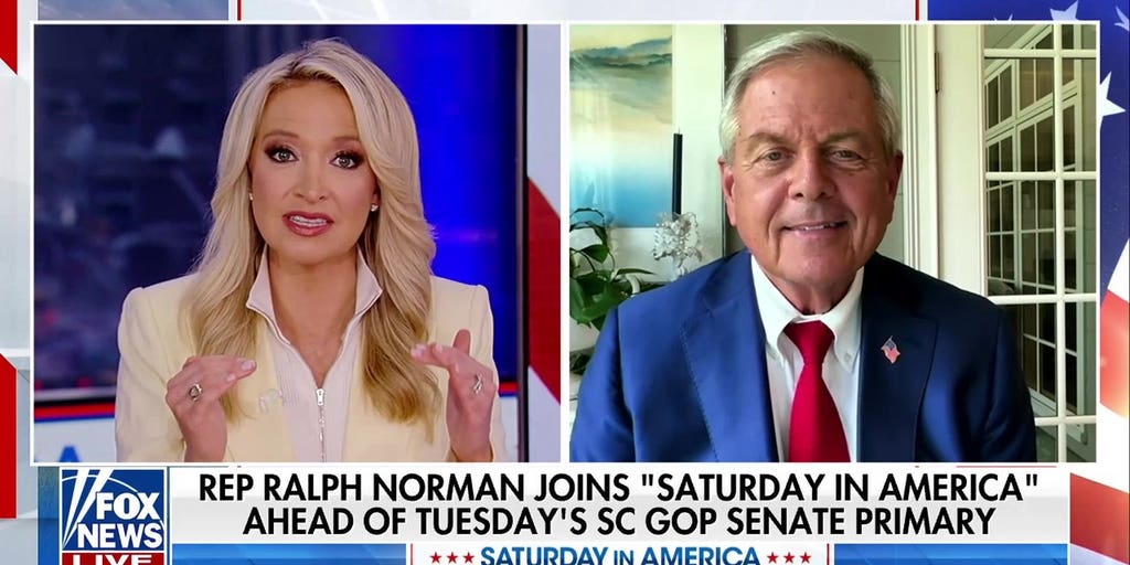 Rep. Ralph Norman details bid for South Carolina Senate seat