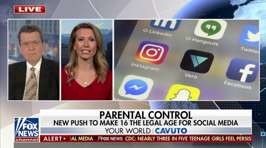 Could a legal age for social media use be introduced in America?