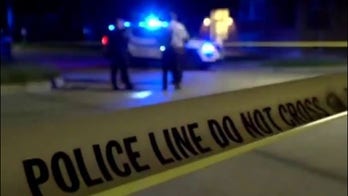 Paul Mauro sounds alarm on New York City crime crisis: Nobody's 'moving to stop it'