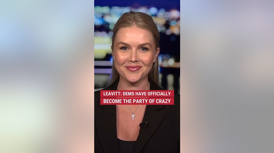 Leavitt: Dems have officially become the party of crazy 