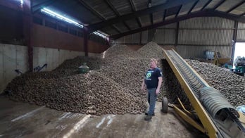 Potato farmer stuck with tons of spuds as buyers vanish, losses mount up
