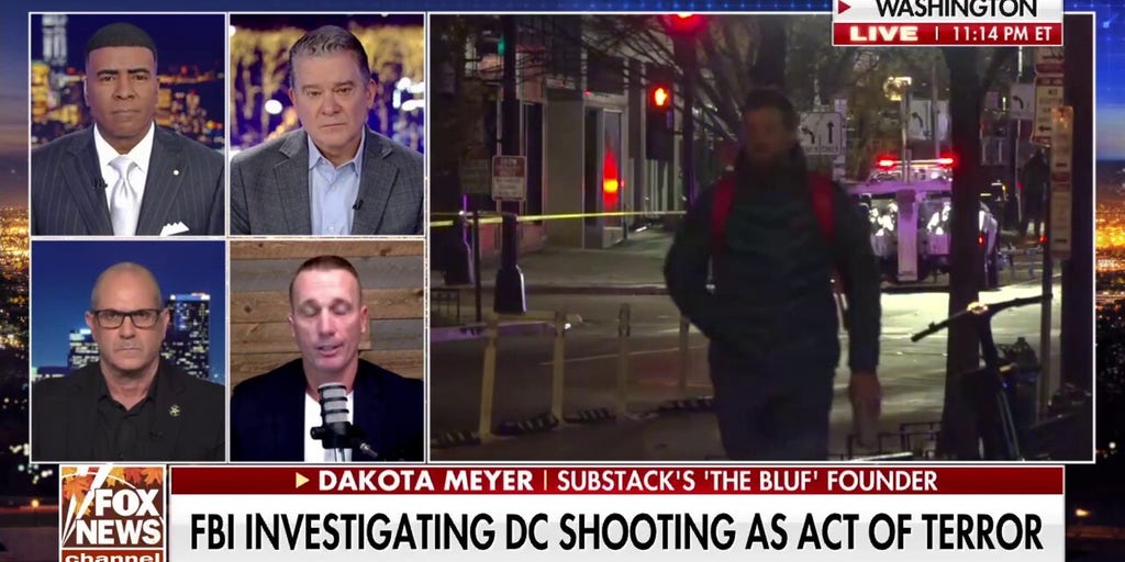 More details emerge about the alleged shooter of two DC National Guard members