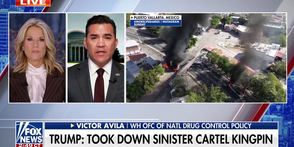 This is a 'different type' of cartel we're dealing with: White House official