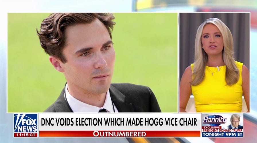 DNC votes to nullify election of vice chair over gender diversity rule