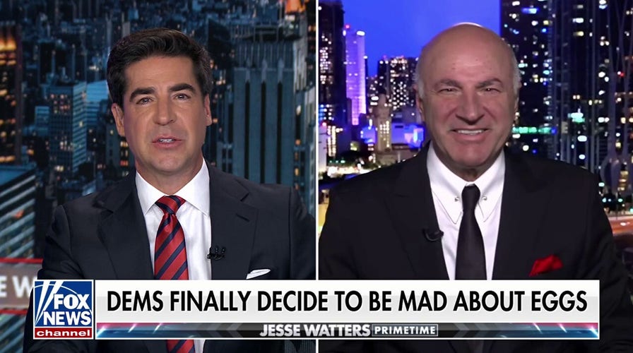 AOC is proof 'inside every socialist is a capitalist screaming to get out,' Kevin O'Leary says