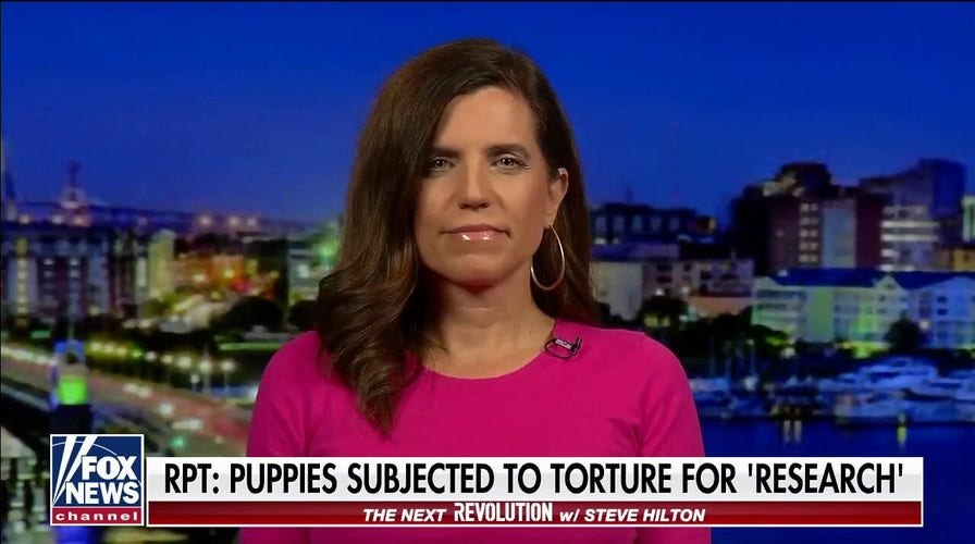  Rep. Nancy Mace: Fauci close to being a supervillain