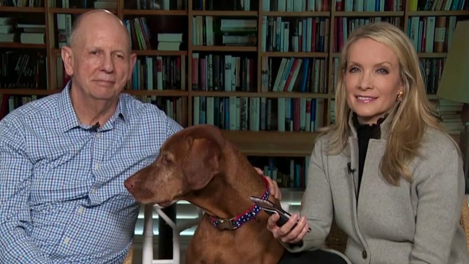 dana perino jasper puppy