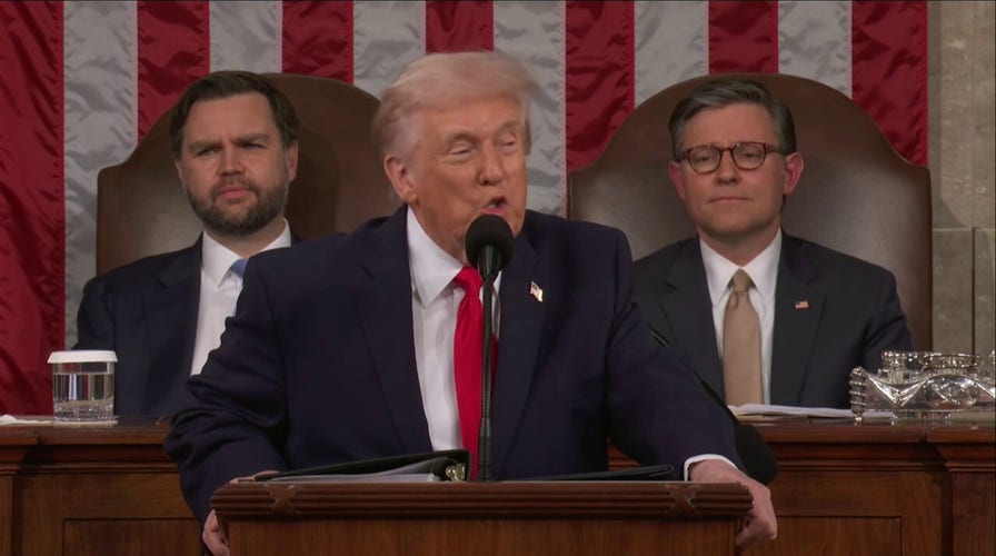 Trump slams Democrats for partial government 'shutdown' during SOTU address