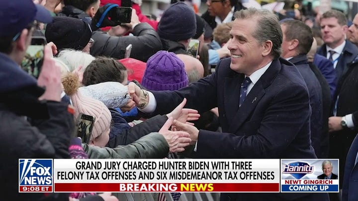 Biden's own son is the 'poster child' of a tax cheat: Solomon