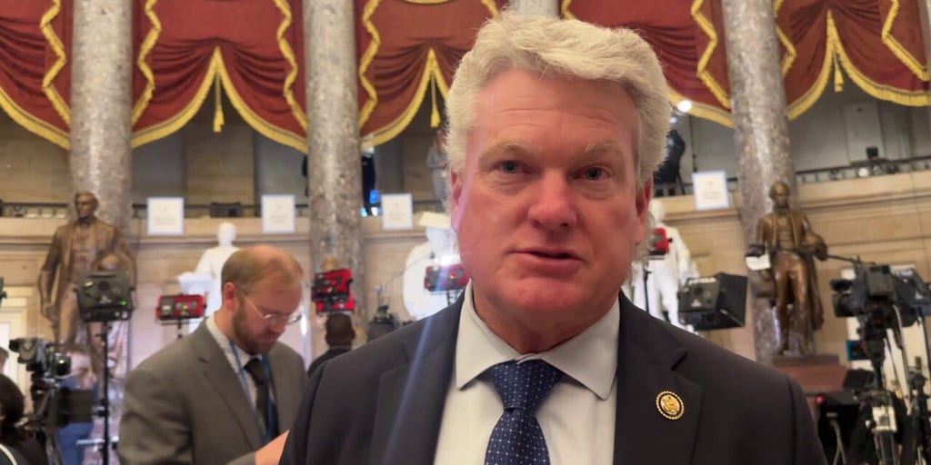 Rep. Mike Collins, R-Ga., says 'American people voted for change,' slams Democrat behavior during Trump's speech