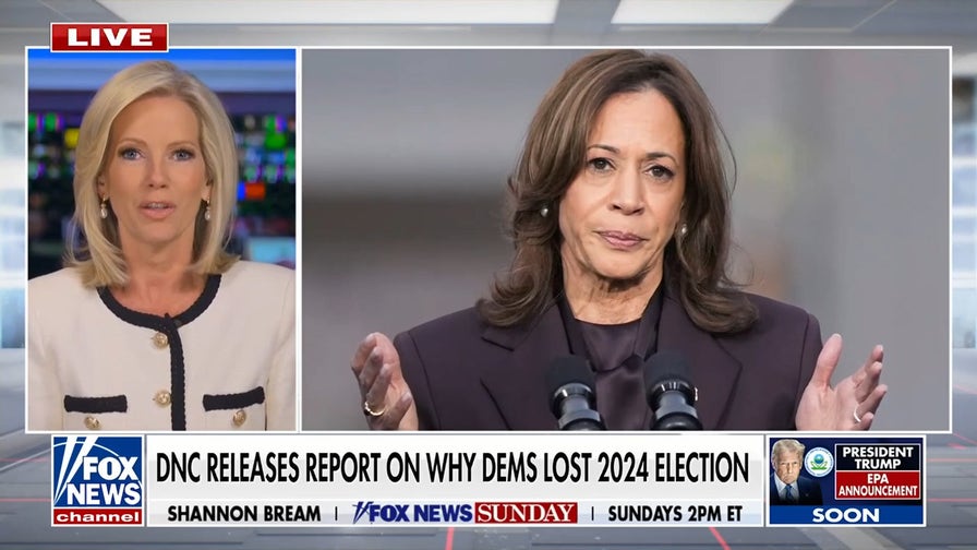 DNC releases autopsy report on failed 2024 election