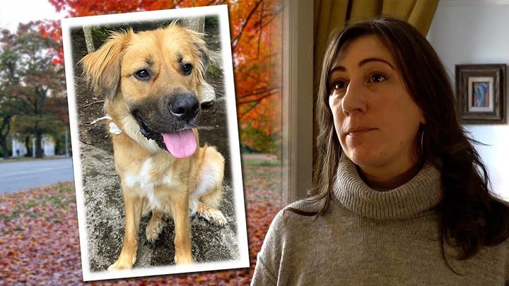New York woman's fight for justice after she was beaten and her dog was killed
