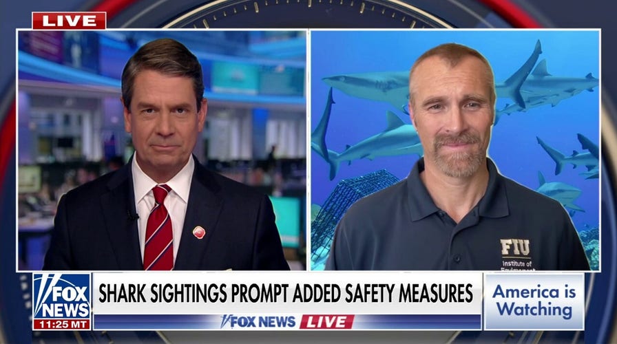Expert provides top tips for avoiding a shark attack in wake of Memorial Day weekend