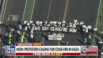 Cease-fire protest shuts down Boston bridge