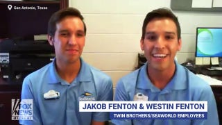Texas twin brothers attended SeaWorld summer camp as children, now work as employees  - Fox News