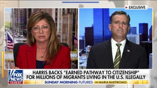 America’s national security is taking a ‘back seat’ to Kamala Harris’ agenda: John Ratcliffe - Fox News