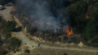 Los Angeles firefighters put out brush fire in Griffith Park - Fox News