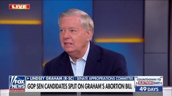 Lindsey Graham calls for Hunter Biden special counsel on 'Fox & Friends': 'The laptop is real'