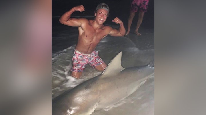 College student catches nearly 400-pound shark off Long Island coast amid increase in sightings