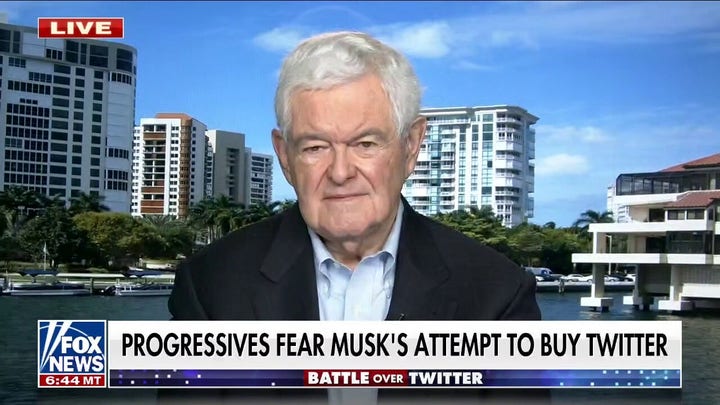 Gingrich: Elon Musk would be a 'genuine threat' to Twitter, Facebook, Google