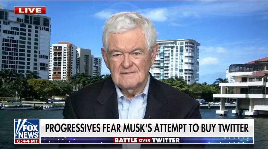 Gingrich: Elon Musk would be a 'genuine threat' to Twitter, Facebook, Google