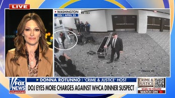 Donna Rotunno on WHCA dinner shooting suspect, Britney Spears' DUI