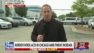 ICE raids in Chicago suburbs target previously deported drug trafficker