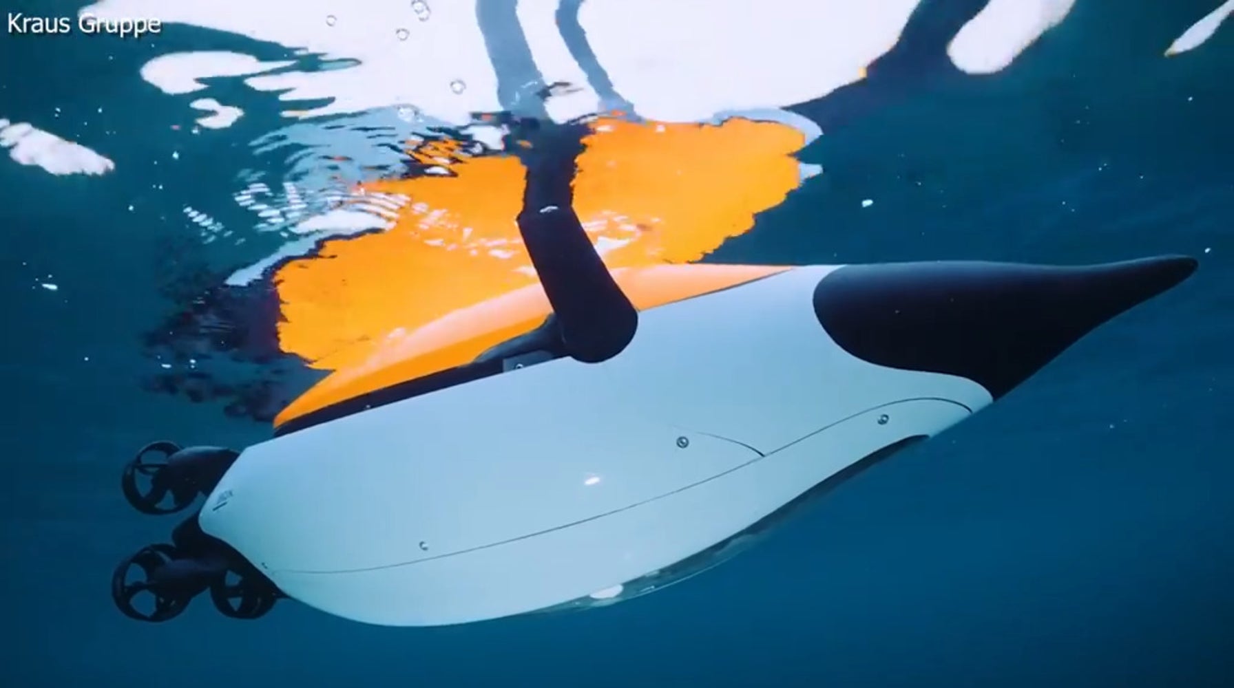 Quadroin AUV: Bio-Inspired Underwater Robot Mimicking Penguin's Graceful Swim