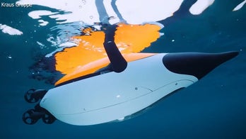 An autonomous underwater vehicle mimics a penguin