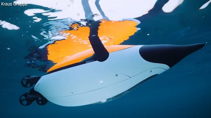 Autonomous underwater vehicle mimics penguin