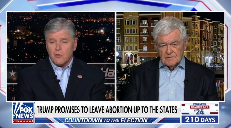 Newt Gingrich: Democrats don't believe in the rule of law, but in the rule of power