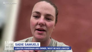 Maine lobster fisherman describes industry sustainability practices - Fox News