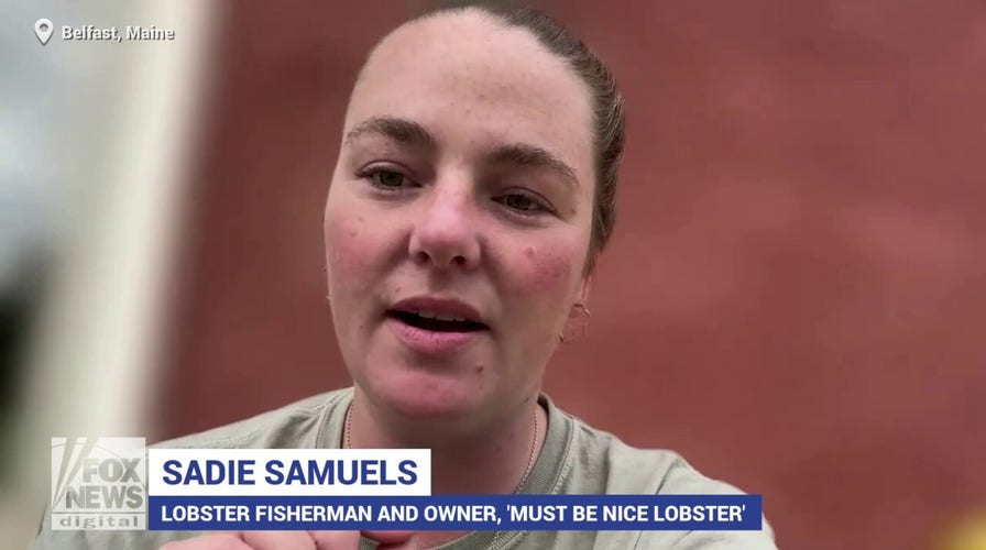 Maine lobster fisherman describes industry sustainability practices