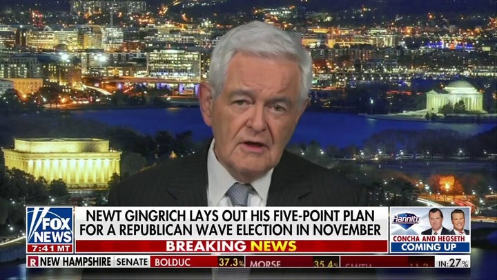 Newt Gingrich: Republicans can win November if they 'stick to the issues'