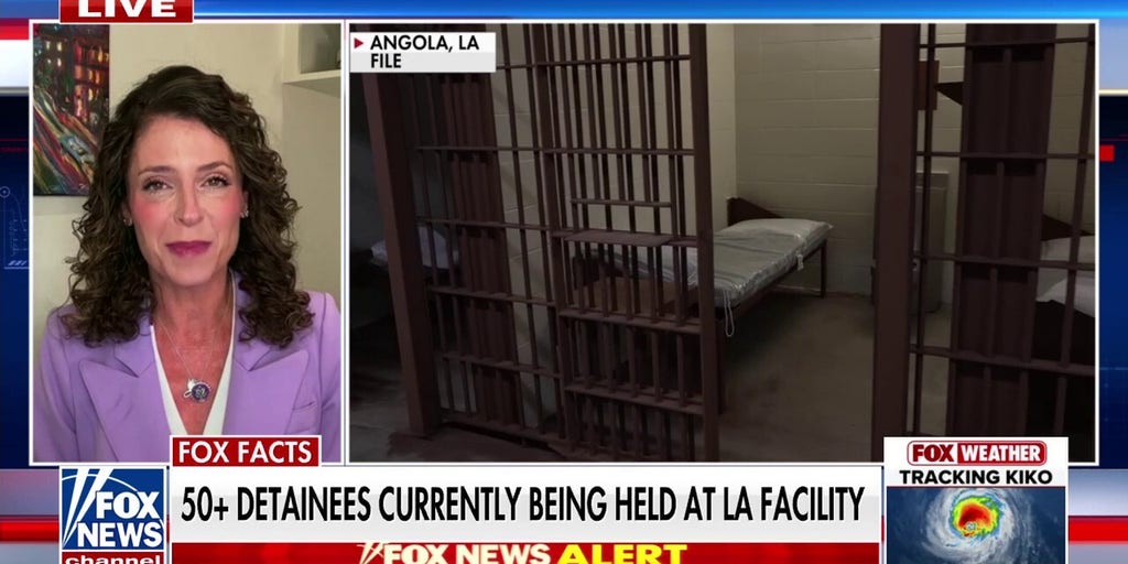 Louisiana is ‘leading the way’ on immigration crackdown: Rep. Letlow