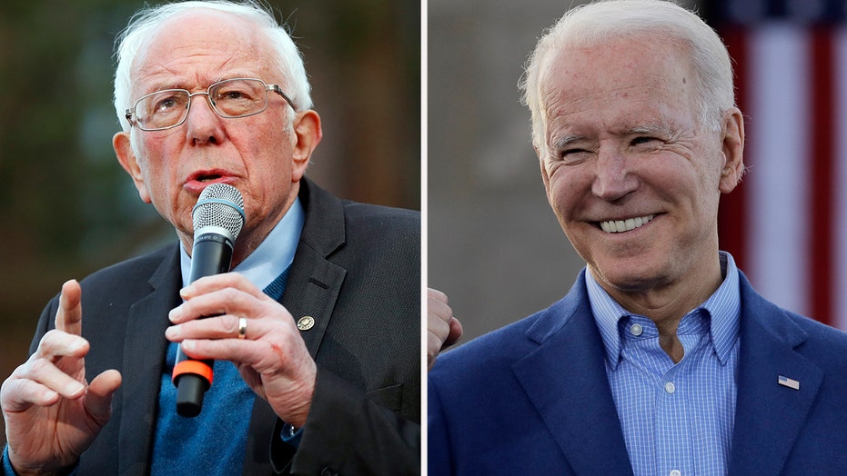 Biden Takes Big Lead Over Sanders In Michigan Poll Fox News