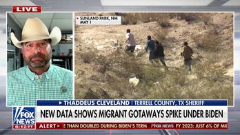 Migrant ‘gotaways’ will stop when Americans vote in a different president: Thaddeus Cleveland
